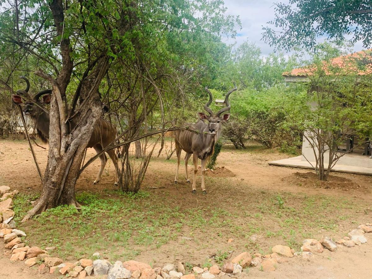 Impala Lily Βίλα Marloth Park Εξωτερικό φωτογραφία